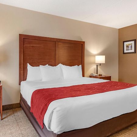 Comfort Inn & Suites Morehead Room photo